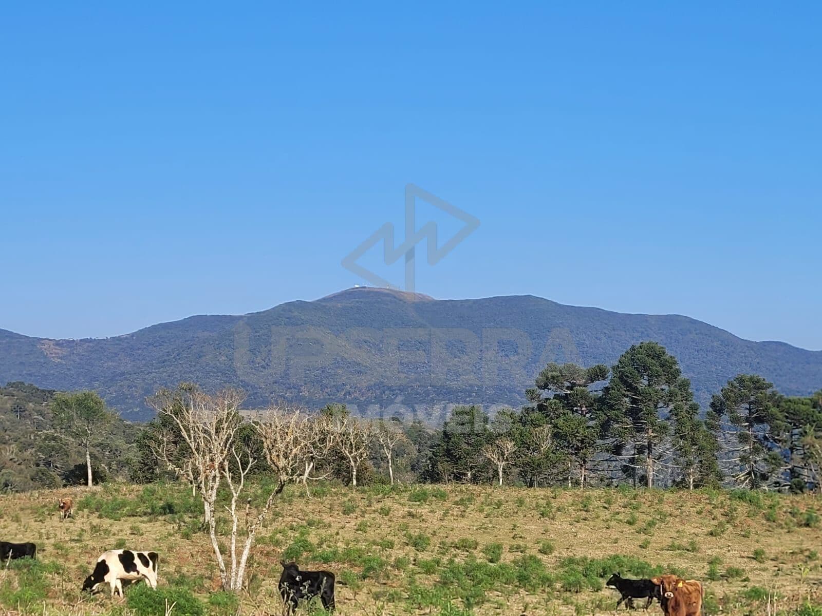 Terreno de 18 hectares com vista para morro das torres