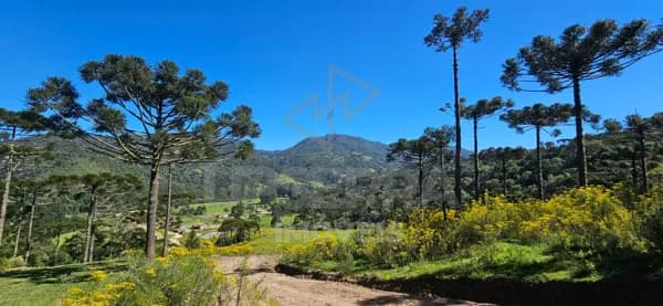 Chácara de 2.0 hectares em Rio dos Bugres - Urubici-SC