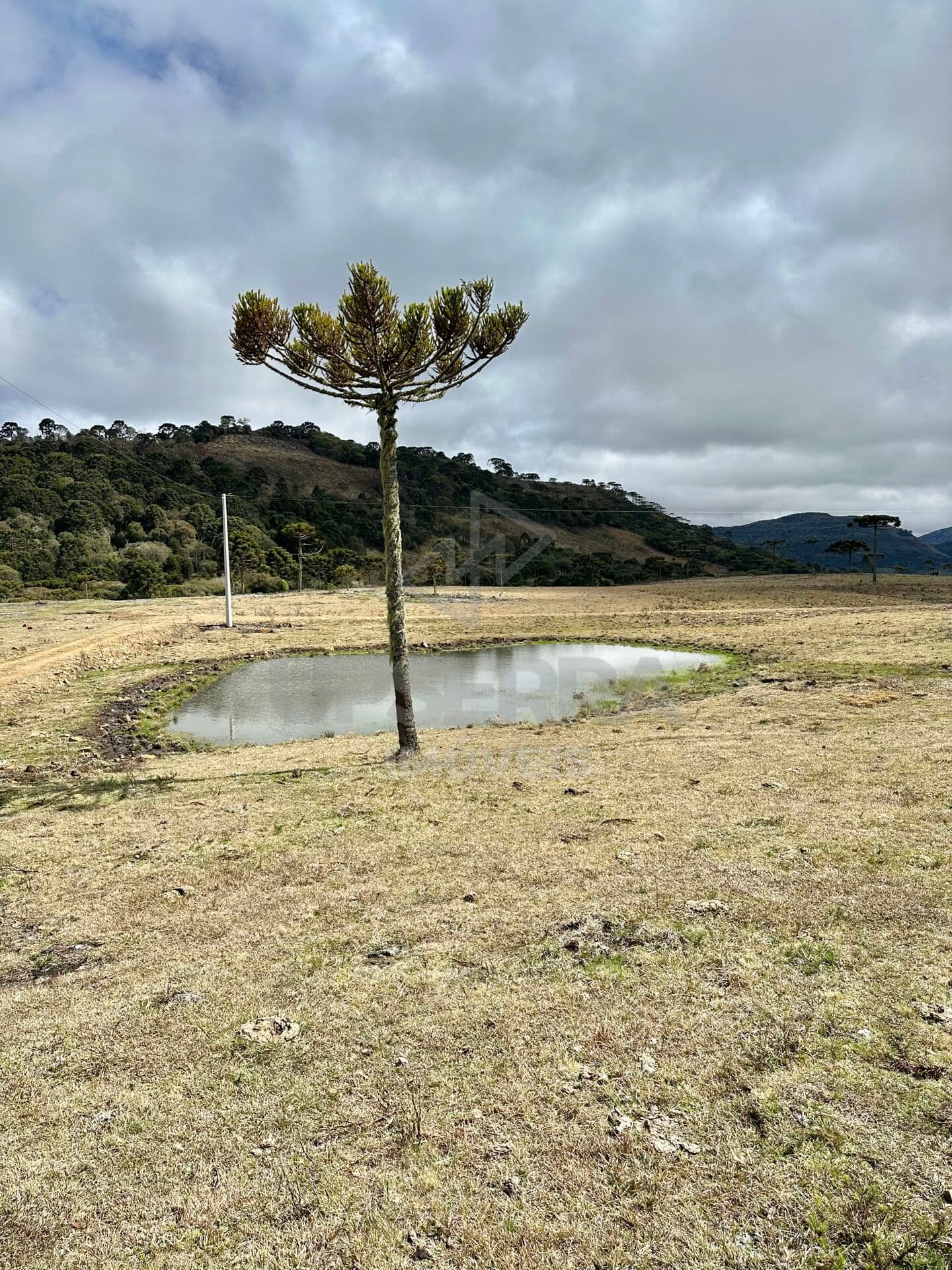Fazenda/Sítios/Chácaras em Urubici - Jararaca