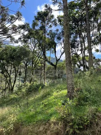 Terreno de 2 Hectares Proximo do Centro de Urubici
