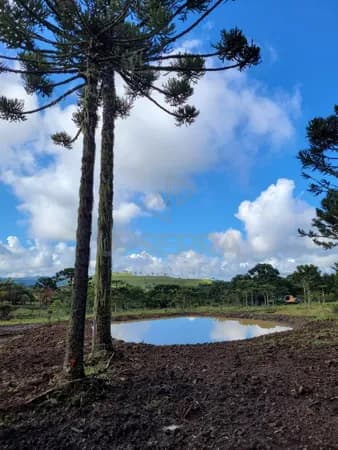 Chácara Encantadora com Nascente e Araucárias – Ideal para Quem Busca Paz e Espaço