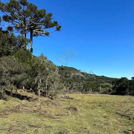 Fazenda/Sítios/Chácaras em Urubici - Vacas Gordas