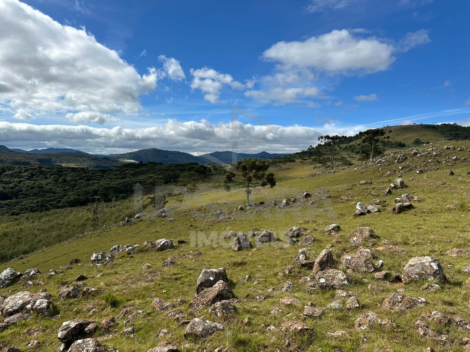 Area Rural em Urubici 15 Hectares