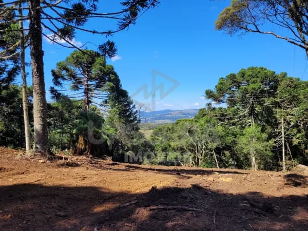Chácara de 8.4 hectares em Urubici-SC