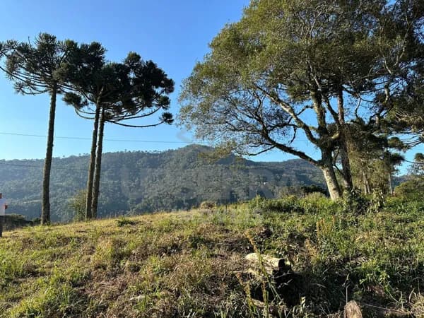 Fazenda/Sítios/Chácaras em Urubici - Santa Tereza