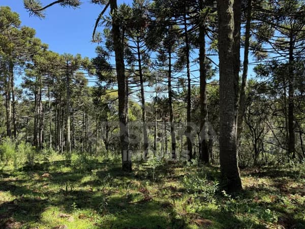 Terrenos a partir de R$149.000 — Sao Joaquim / SC