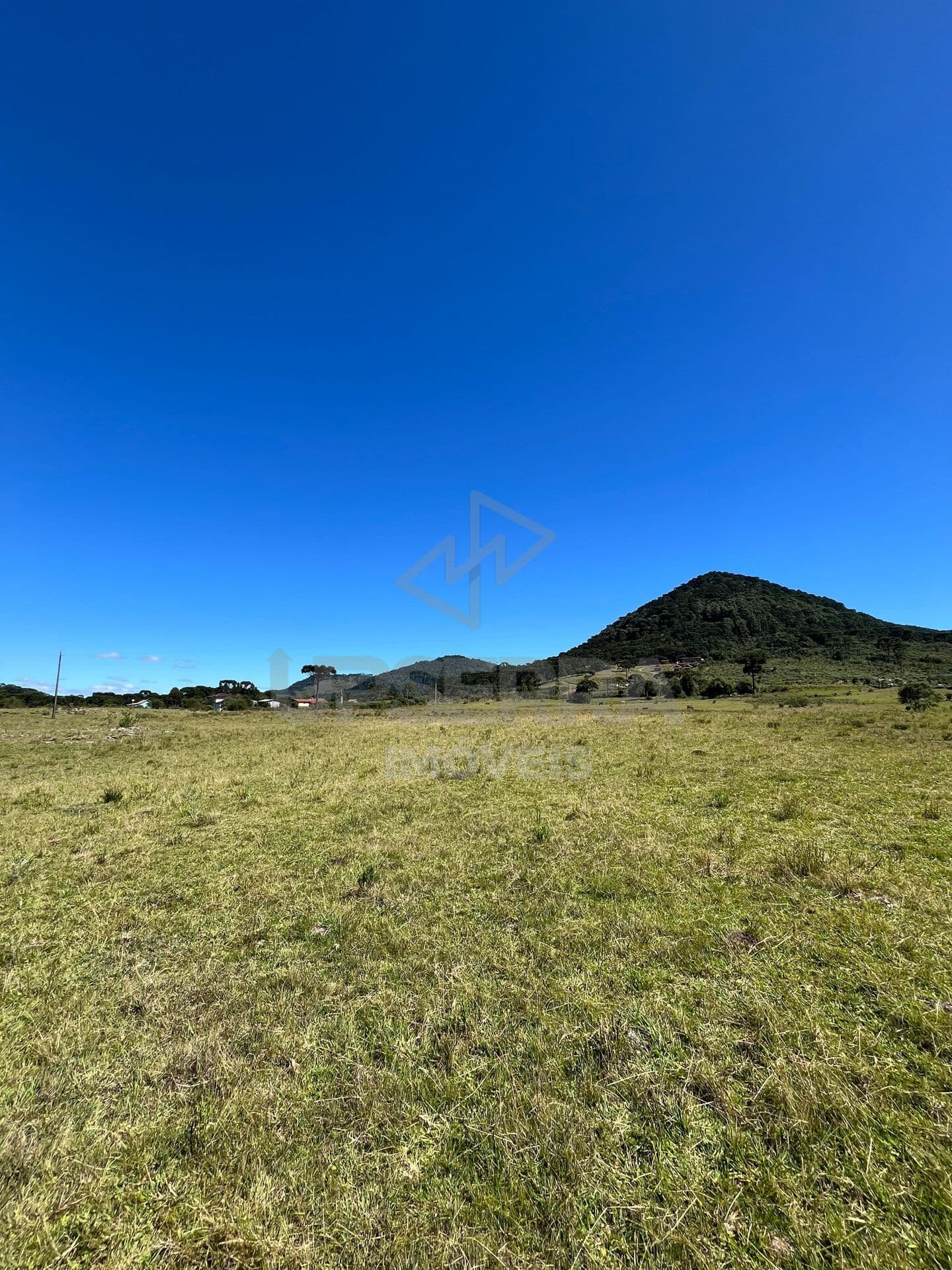 Chácara 2 hectares na beira do Asfalto