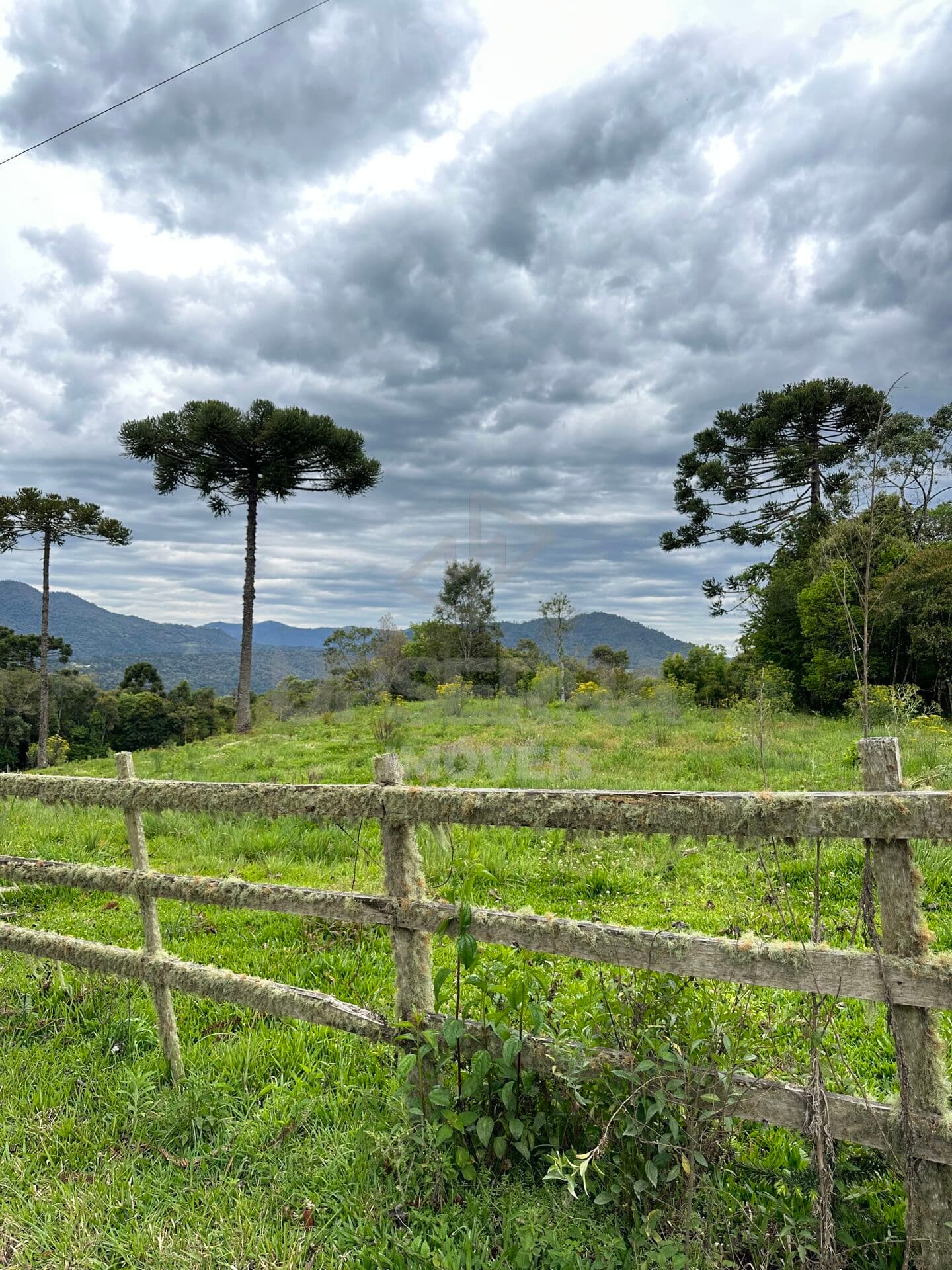 Terreno de 2 hectares com vista para as montanhas em Urubici-SC