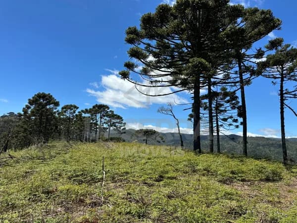 Terreno a Venda no Morro da Igreja em Urubici