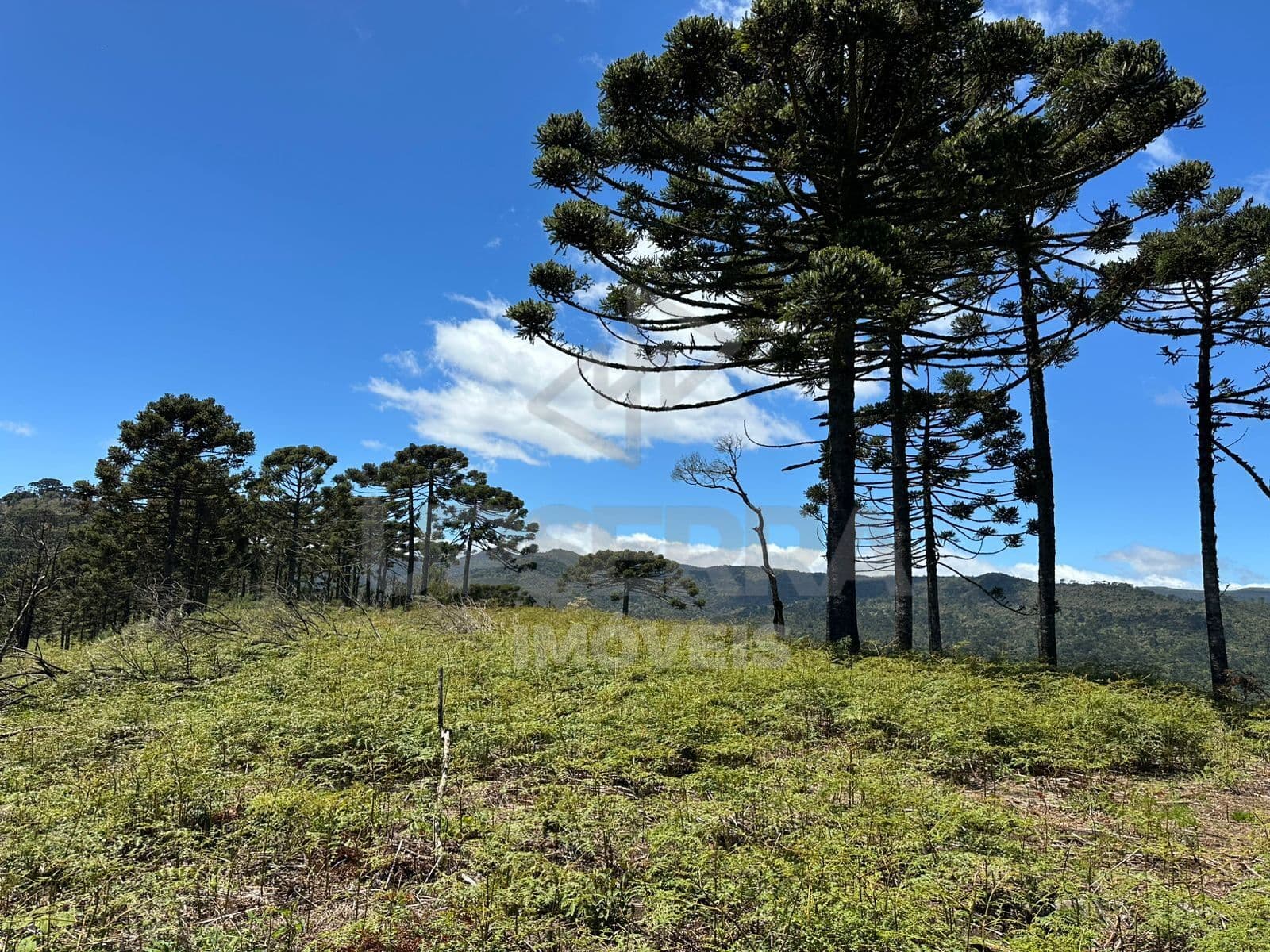 Terreno a Venda no Morro da Igreja em Urubici
