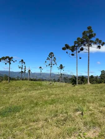 Chácara 2 hectares Localizado em Aguas Brancas