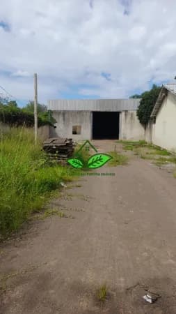 Pavilhão com 450 m² e pátio com 450 m², todo murado a 2 km da RS-118