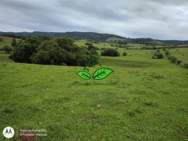 Vende: Área com 19 hectares, com arroio e rica em vertentes em Morungava, Gravataí/RS