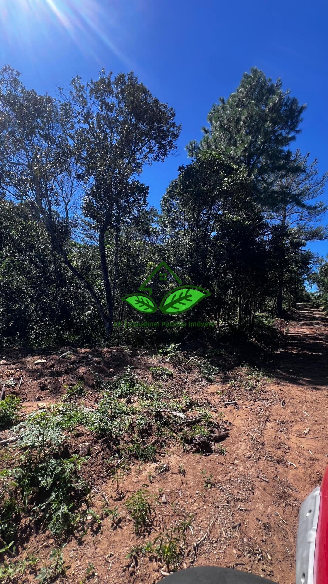 Vende: Linda área de terra com 24 hectares em Morungava, Gravataí/RS.