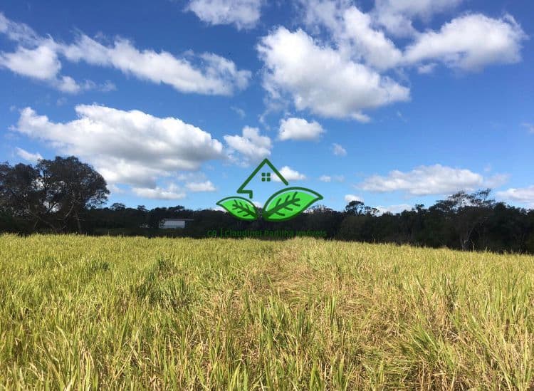 Vende: Terreno com 6 hectares de área, com ótima localização, ideal para empreasas ou moradia em Gravataí/RS