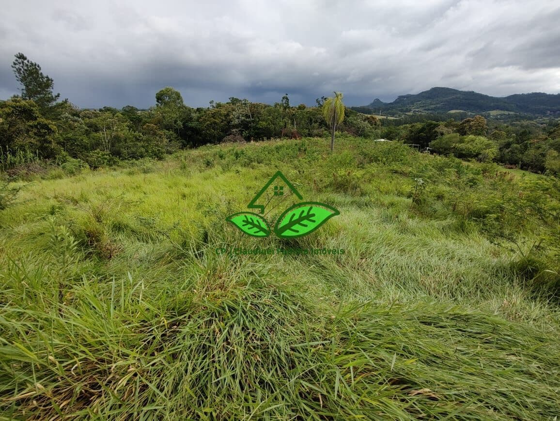 Vende: Área de terra com 3.5 hectares, na parada 89 da RS-020 em Gravataí/RS