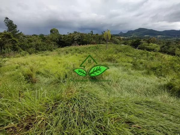 Vende: Área de terra com 3.5 hectares, na parada 89 da RS-020 em Gravataí/RS