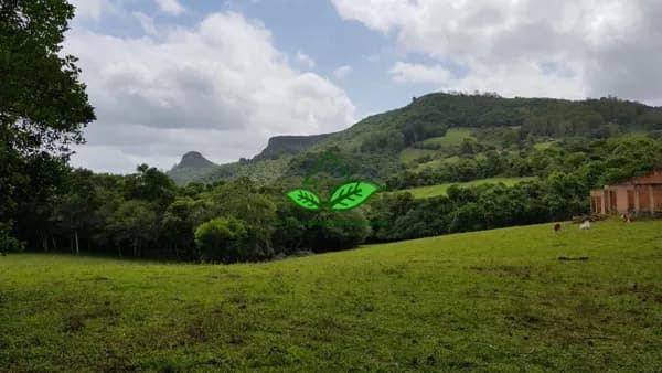 Vende: Lindo sítio com 2 hectares de área, com ótima localização na parada 89 da RS-020 em Morungava, Gravataí/RS