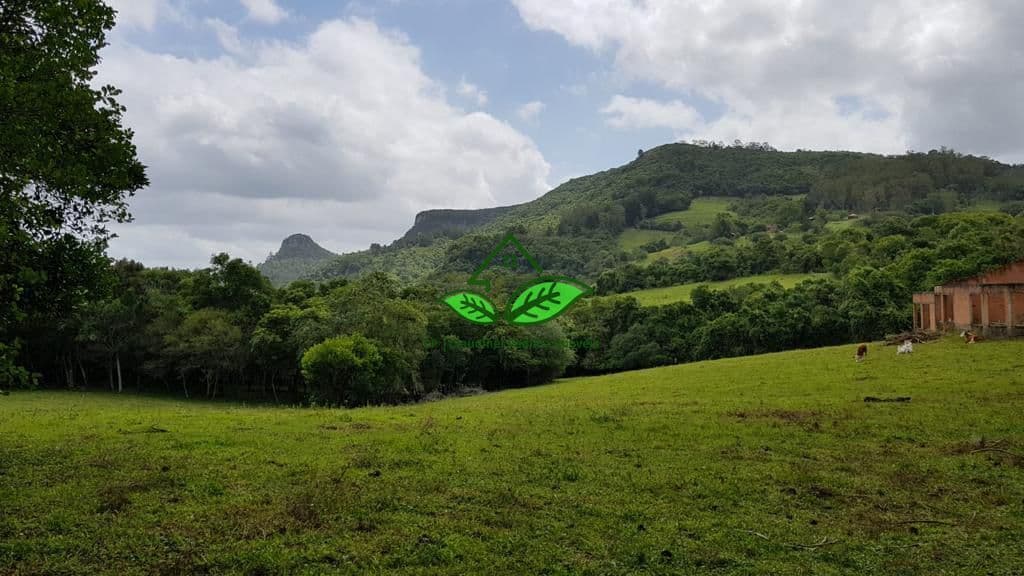 Vende: Lindo sítio com 2 hectares de área, com ótima localização na parada 89 da RS-020 em Morungava, Gravataí/RS