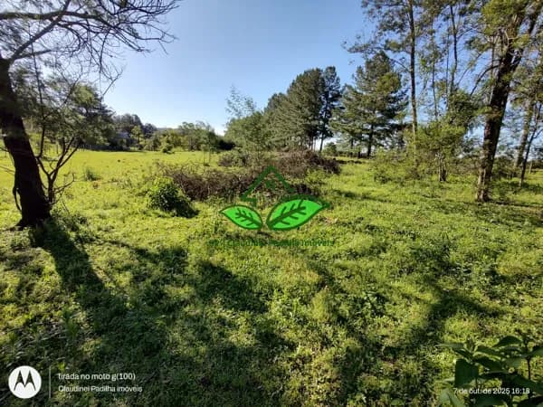 Terreno de esquina à venda, escriturado, aceita financiamento, a 350 m do asfalto no bairro Cadiz-Morungava-Gravataí/RS