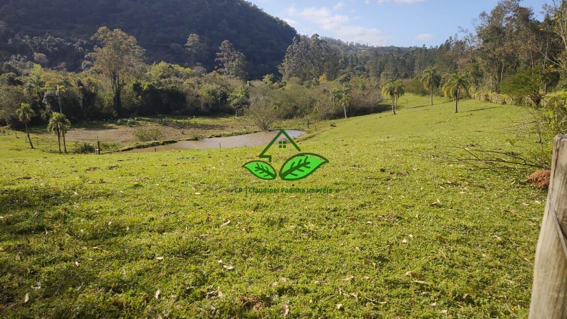 Sítio espetacular para cavalos com porteira fechada!