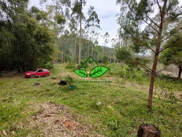 Vende: Lindo sítio junto a natureza rico em vertentes a 4 km do asfalto em Morungava, Gravataí/RS