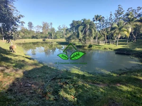 Vende: Lindo sítio com 3.7 hectares a 200 m da RS-020 na parada 97 em Morungava, Gravataí/RS
