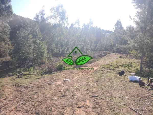 Vende: Área de terra com 10.000 m² escriturado, em Morungava-Gravataí/RS