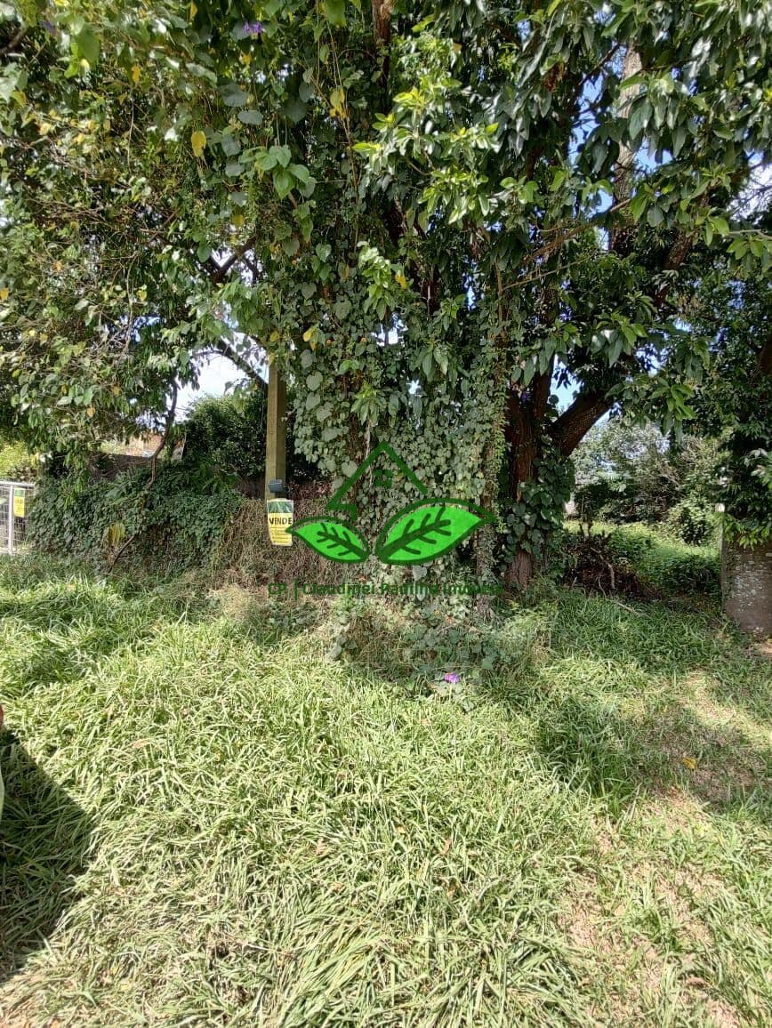 Vende: Terreno plano com 250 m² de área em Morungava, Gravataí/RS