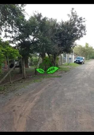 Terreno com casa de madeira a 100 m da RS-020 na parada 76