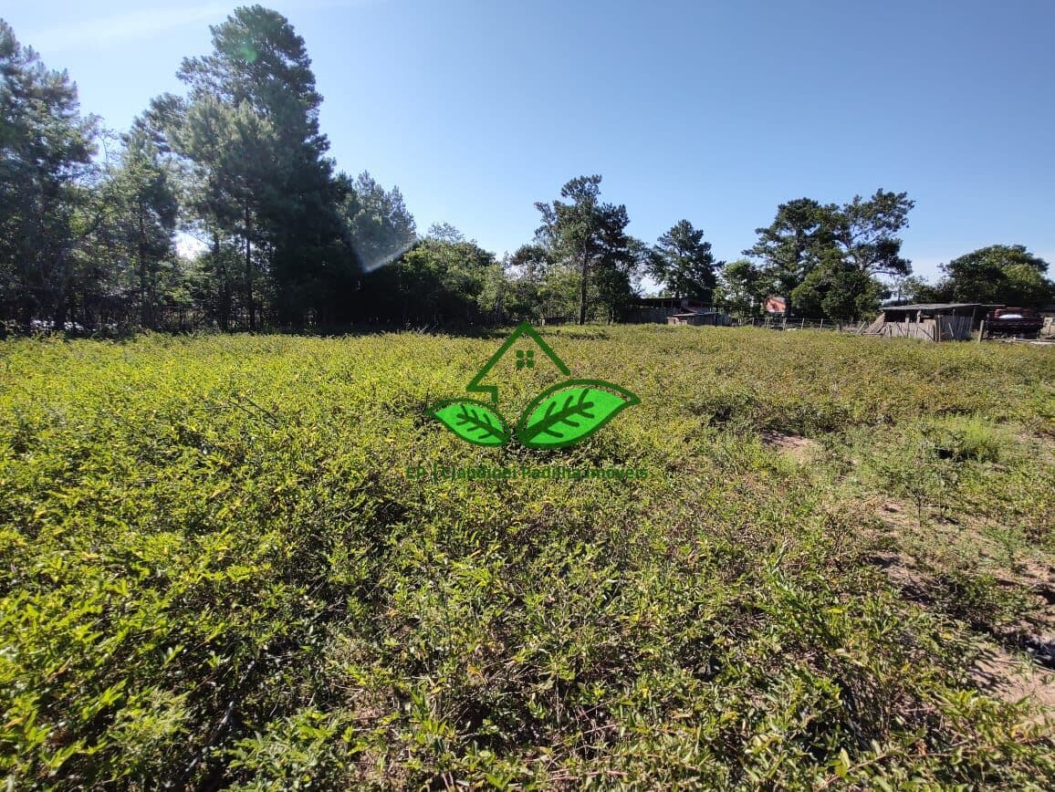 Vende: Terreno para sítio, escriturado, a 500 m do asfalto em Morungava, Gravataí/RS.