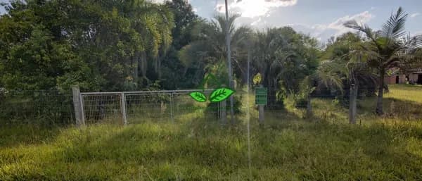 Sítio com 2.000 m² a 500 m da RS-020 na parada 94