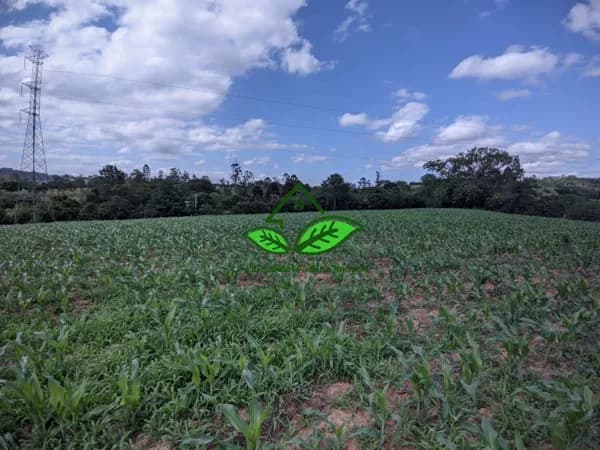 Vende: Terreno com 3.5 hectares, de esquina, com frente para o asfalto em Morungava, Gravataí/RS