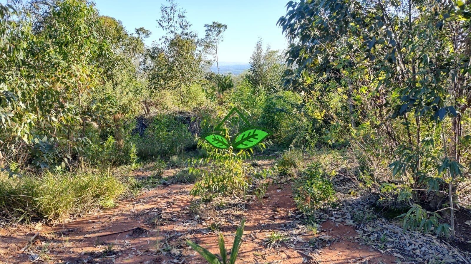 Terreno para sítio sem benfeitorias