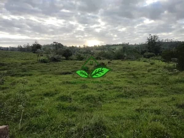 Vende: Área rural para sítio com 20.000 m², escriturado e a 500 m da RS-020 em Morungava, Gravataí/RS
