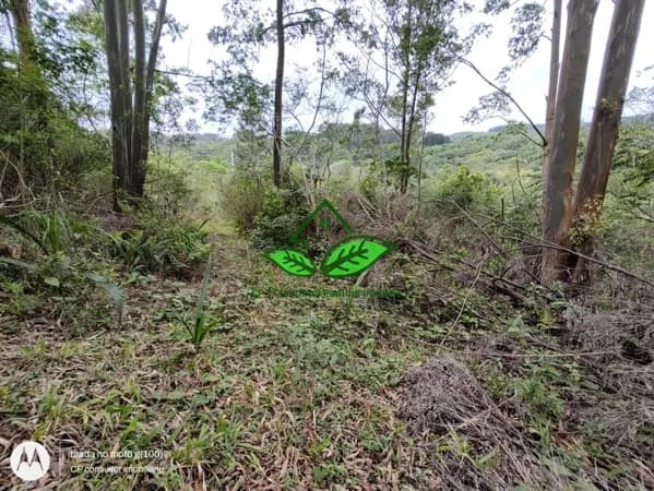 Vende: 20.000 m² de área de terra para sítio, localizado a 9 km da RS-020 em Morungava, Gravataí/RS