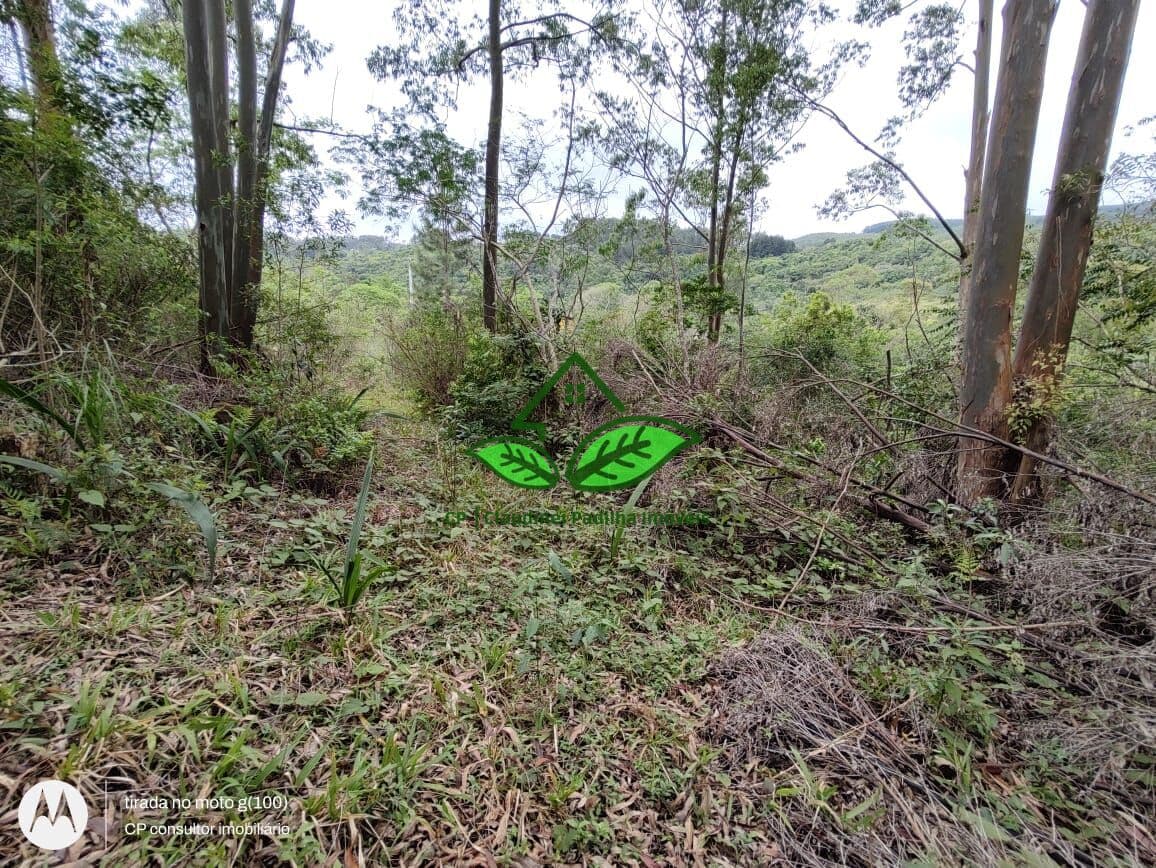 Vende: 20.000 m² de área de terra para sítio, localizado a 9 km da RS-020 em Morungava, Gravataí/RS