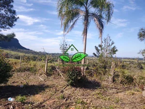Vende: Área de terra a 7 km da RS-030, parada 107 no Passo do Pinto em Gravataí/RS