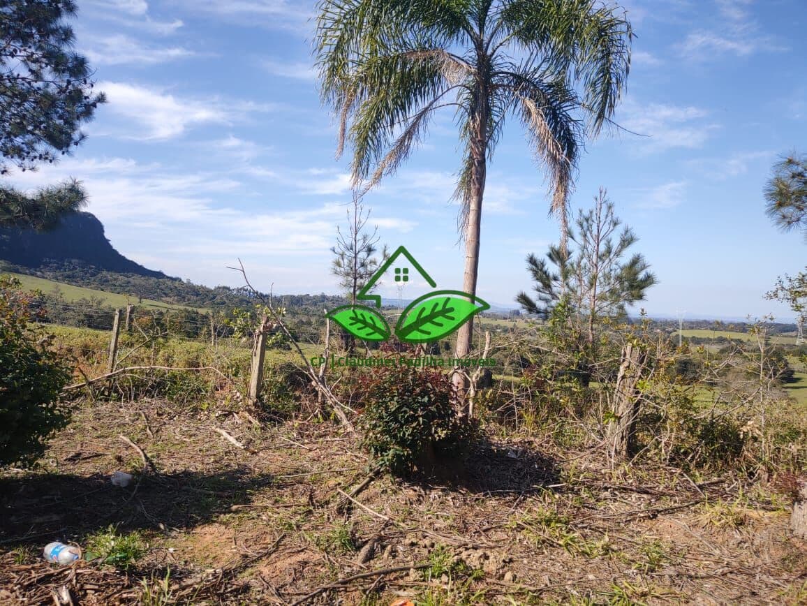 Vende: Área de terra a 7 km da RS-030, parada 107 no Passo do Pinto em Gravataí/RS
