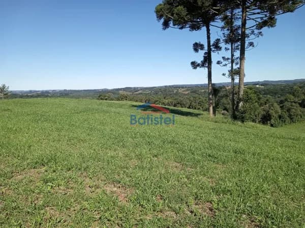 Lote/Terreno em Balsa Nova - Centro