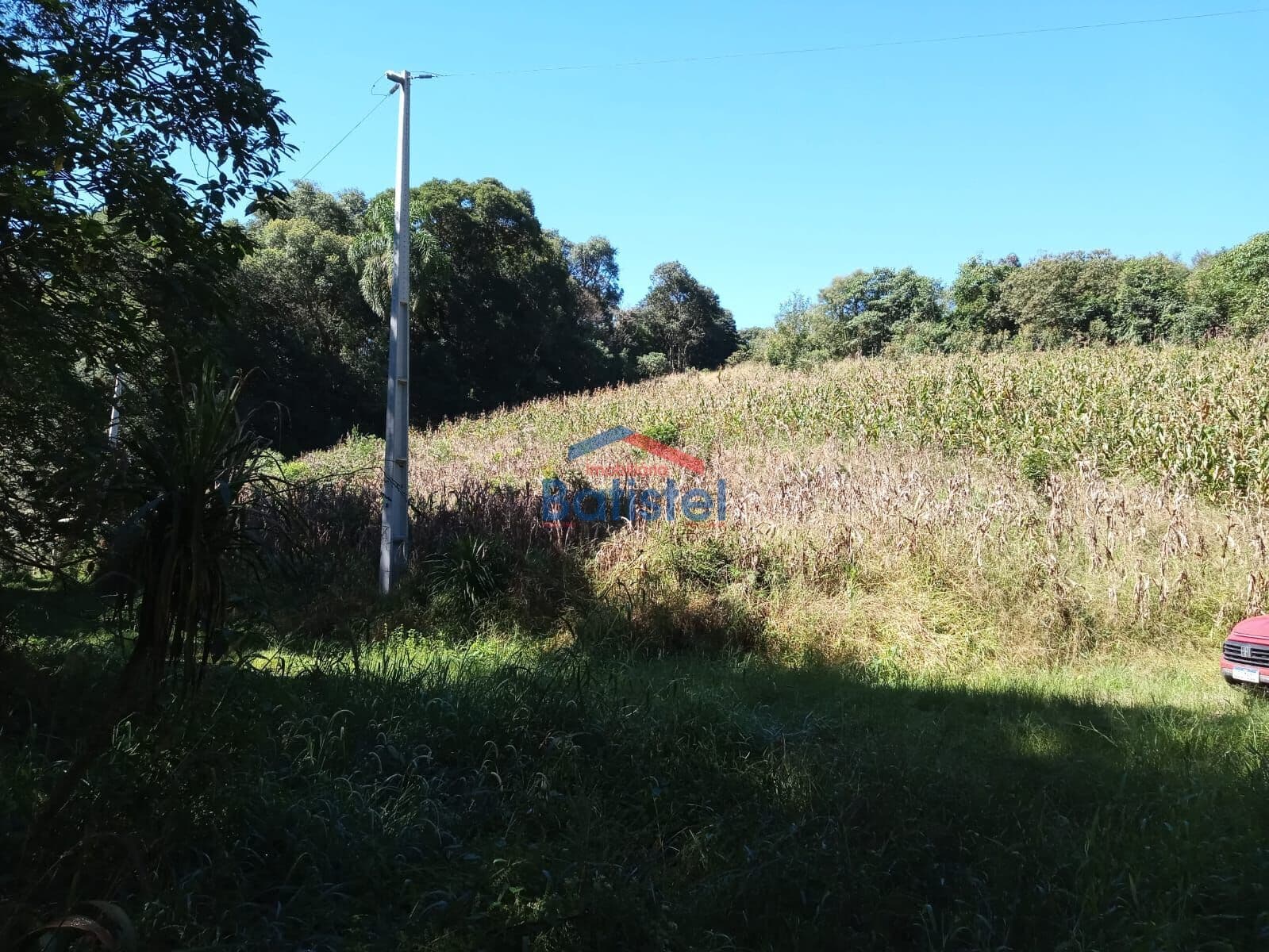Lote/Terreno em Balsa Nova - Centro