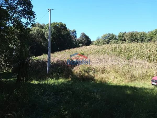 Lote/Terreno em Balsa Nova - Centro