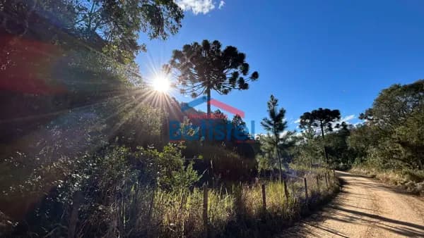 Lote/Terreno em Balsa Nova - rodeio santo antonio