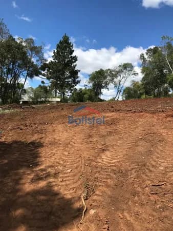 Excelente terreno no são caetano