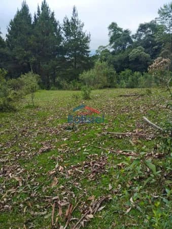 Lote/Terreno em Campo Largo - Três Corregos