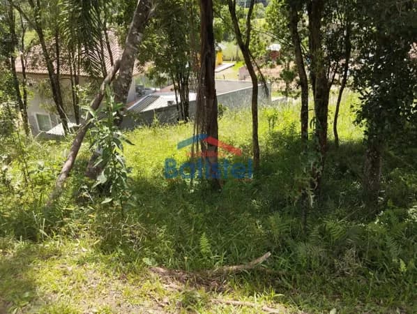 Lote/Terreno em Balsa Nova - São Caetano