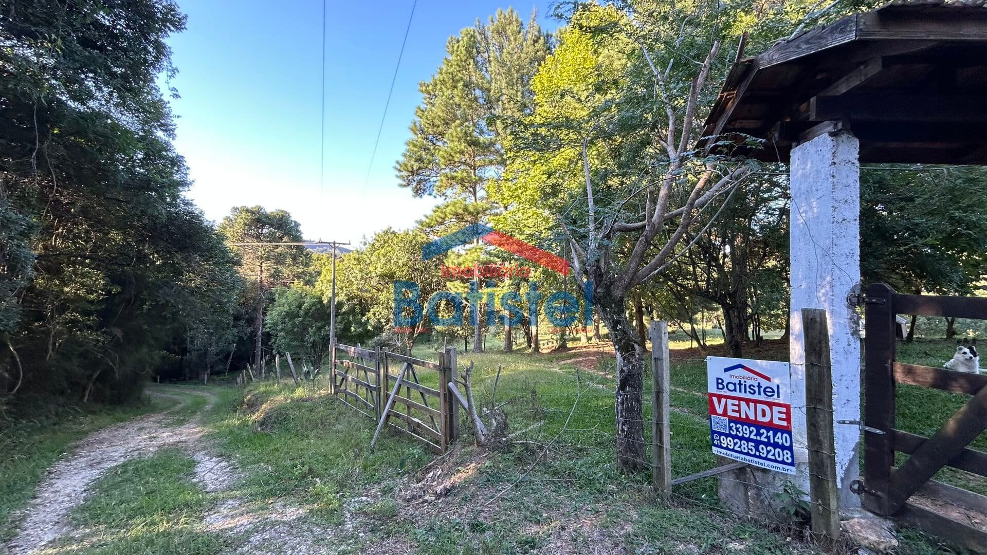 Fazenda/Sítios/Chácaras em Balsa Nova - Bugre