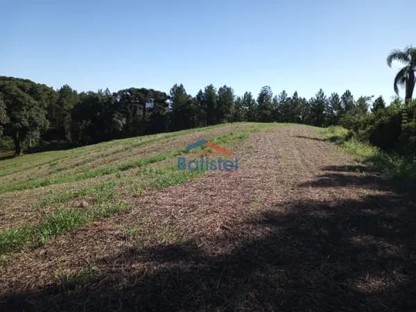 Lote/Terreno em Balsa Nova - Centro