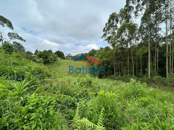 Terreno para formação de chácara, a 2,8 km do Max Atacadista