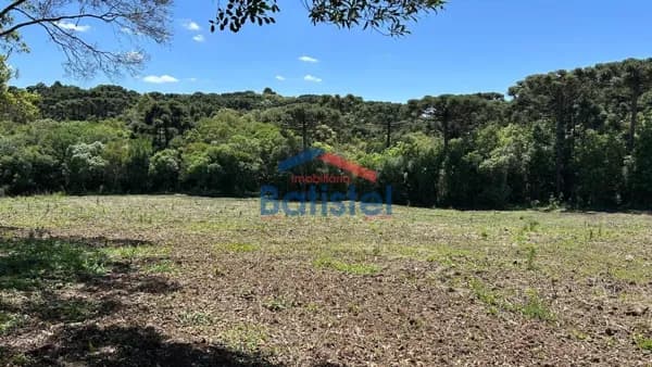 Lote/Terreno em Balsa Nova - Rodeiozinho